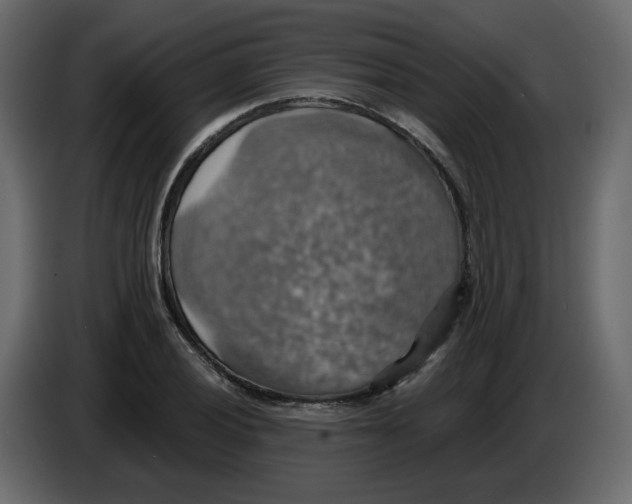 X0000084541028200703231710