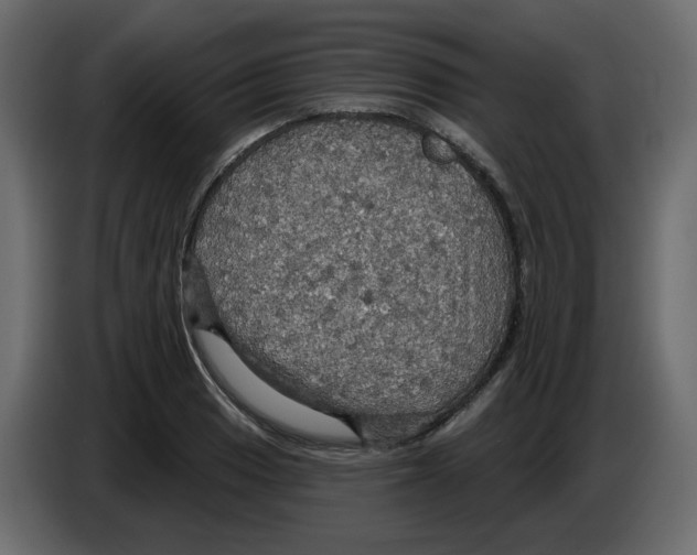 X0000084541033200703231710