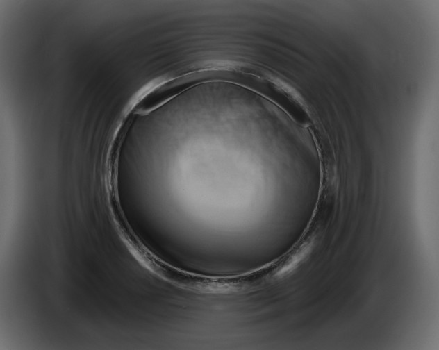 X0000084541034200703231710