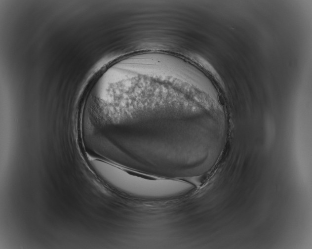 X0000084541035200703231710