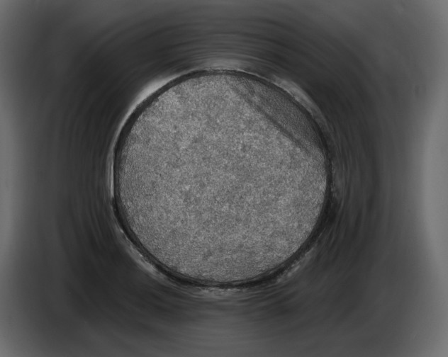 X0000084541036200703231710