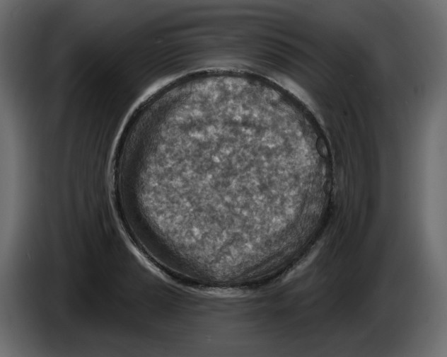 X0000084541037200703231710