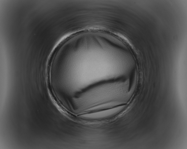 X0000084541038200703231710