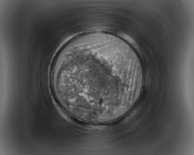 X0000084541039200703231710