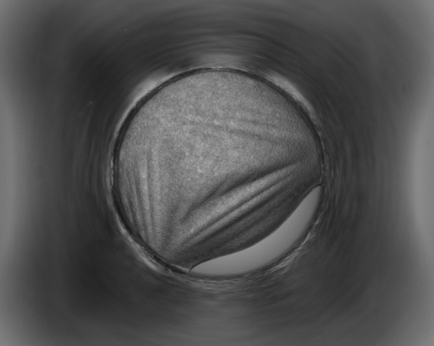 X0000084541040200703231710