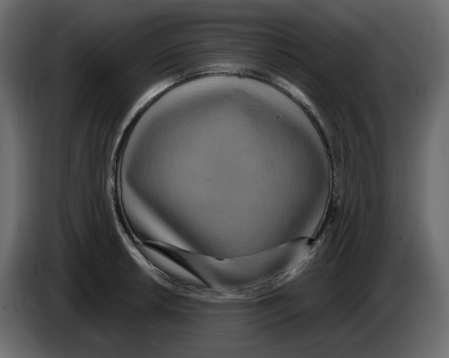 X0000084541042200703231710