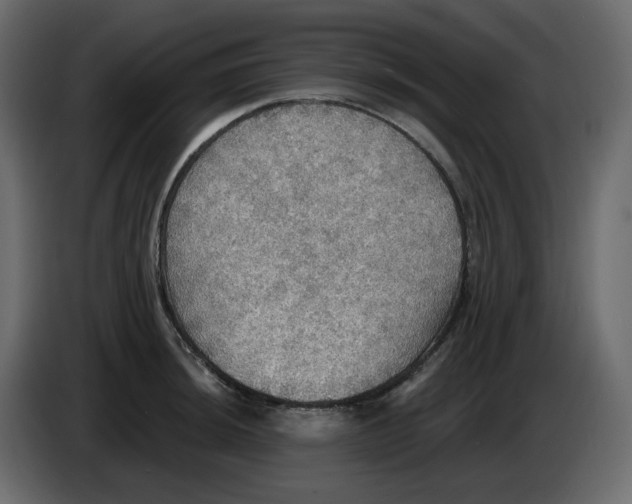 X0000084541044200703231710