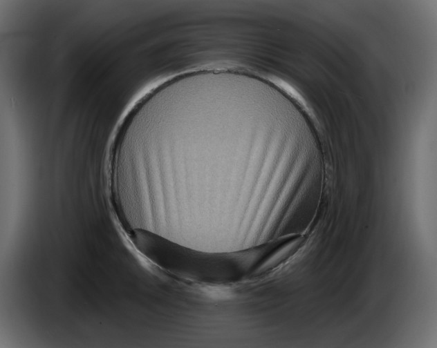 X0000084541046200703231710