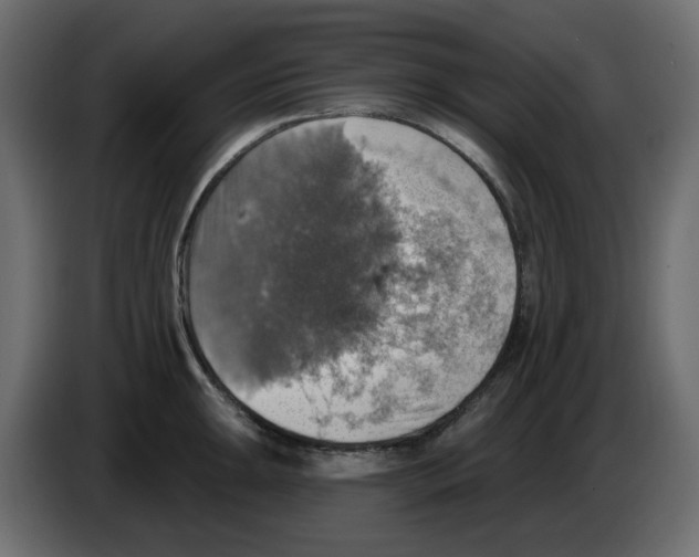 X0000084541047200703231710