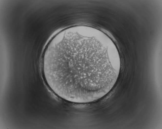 X0000084541048200703231710