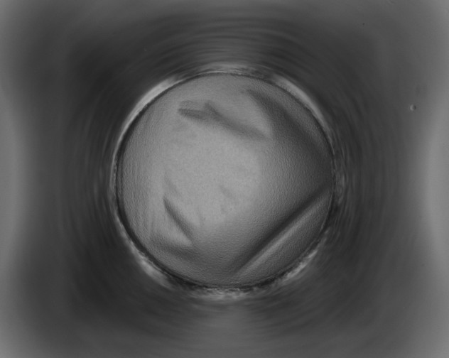 X0000084541050200703231710