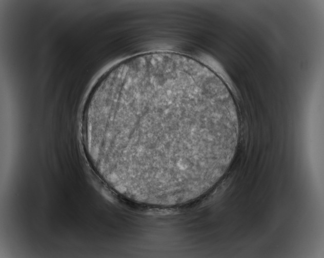 X0000084541051200703231710