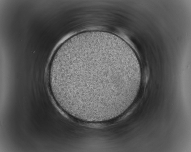 X0000084541053200703231710