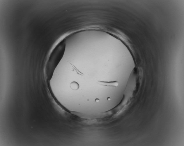 X0000084541054200703231710