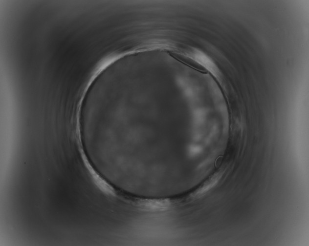 X0000084541055200703231710