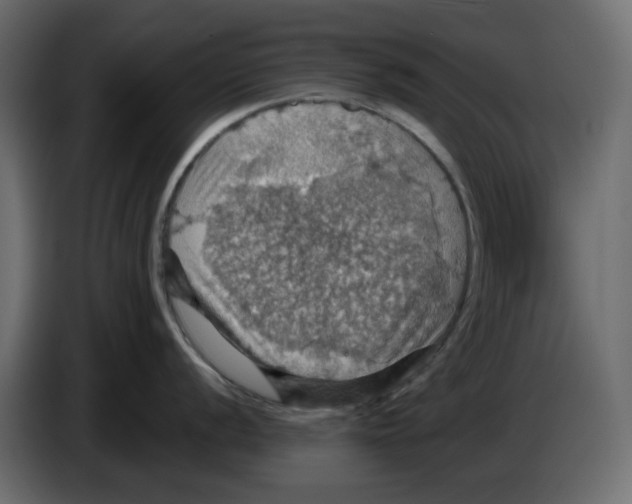 X0000084541056200703231710