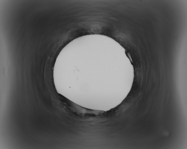 X0000084541057200703231709