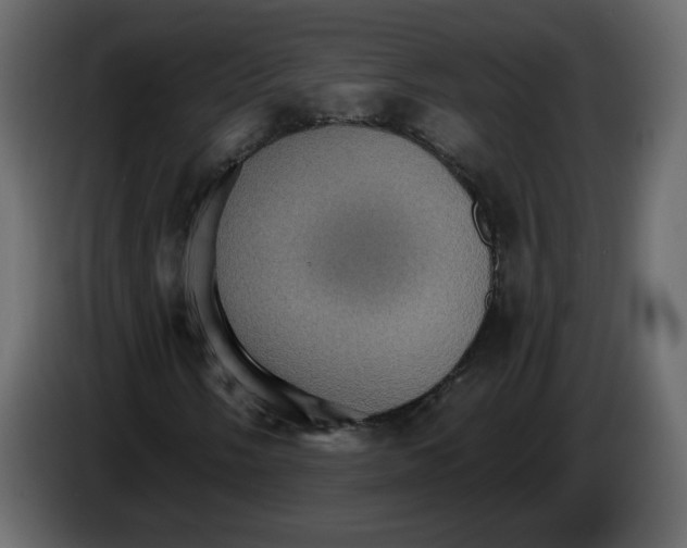 X0000084541058200703231709