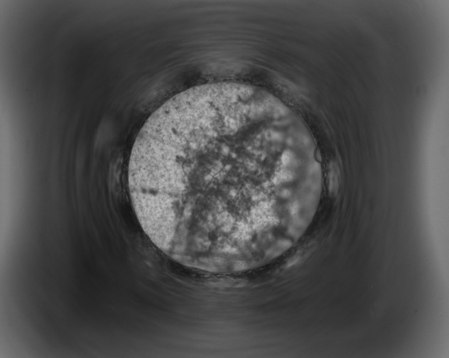 X0000084541059200703231709