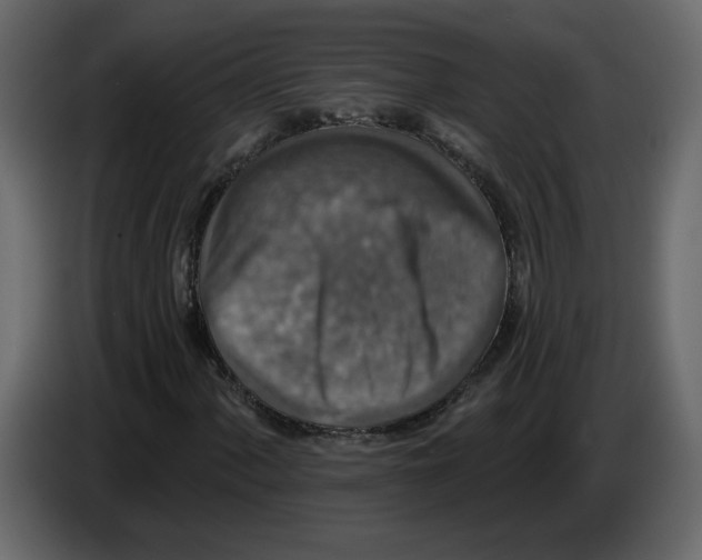 X0000084541060200703231709