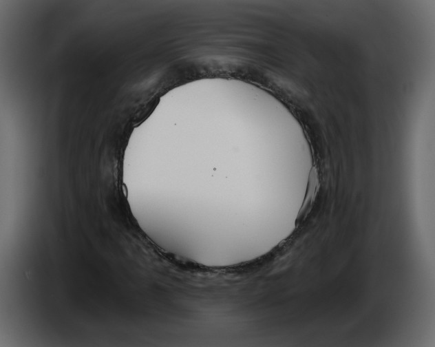 X0000084541061200703231709