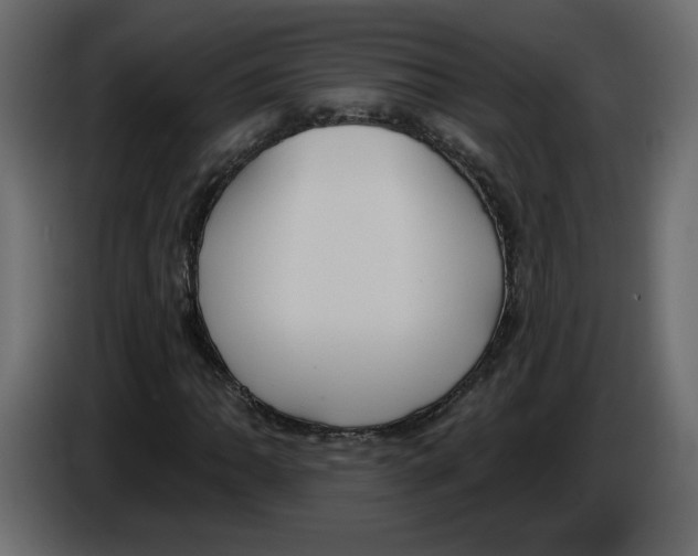 X0000084541062200703231709