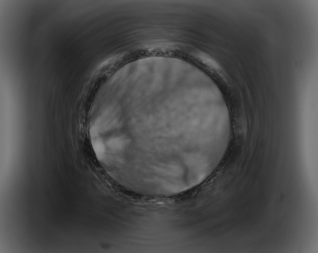 X0000084541063200703231709