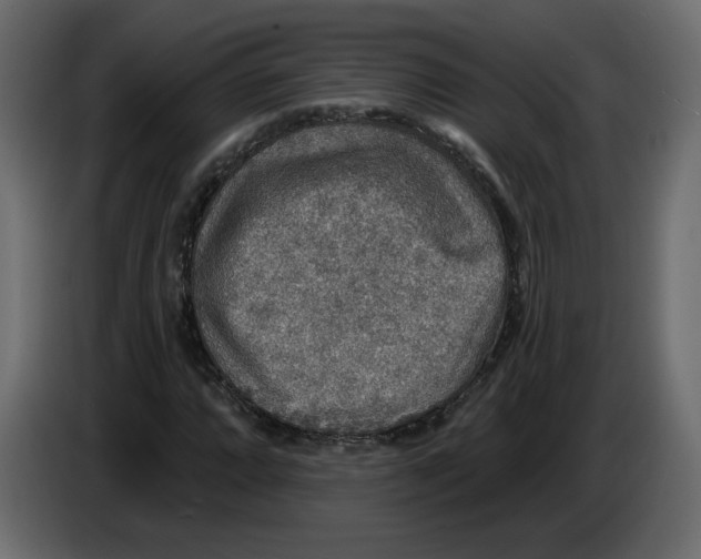 X0000084541064200703231709