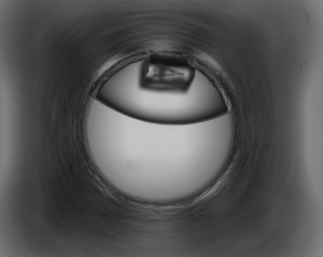 X0000084541065200703231709