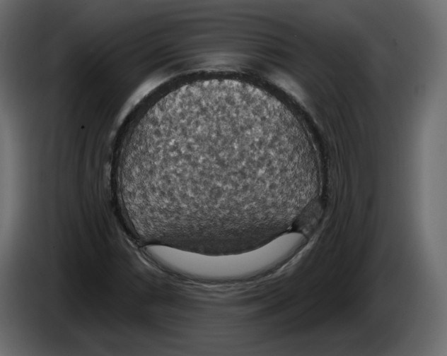 X0000084541066200703231709