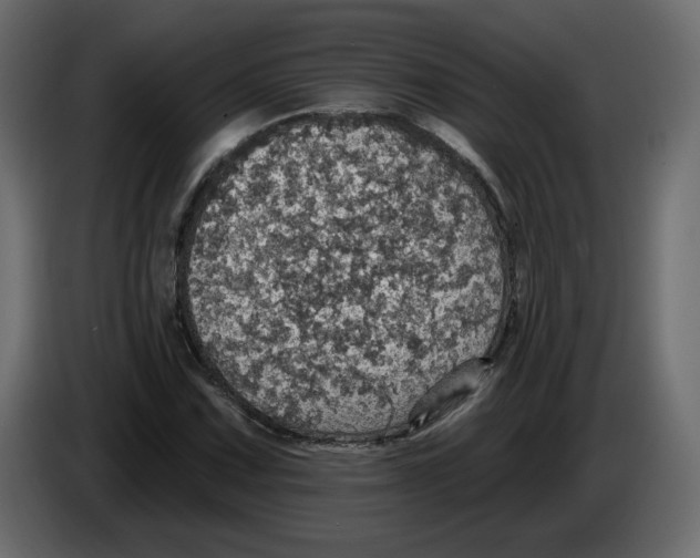 X0000084541067200703231709