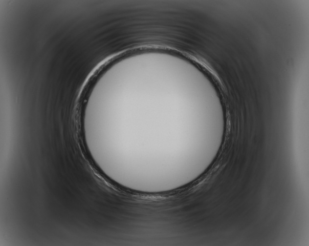 X0000084541068200703231709