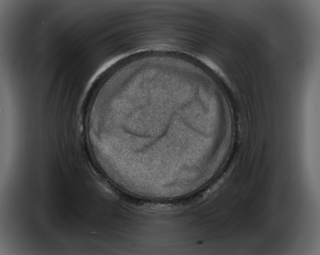 X0000084541070200703231709