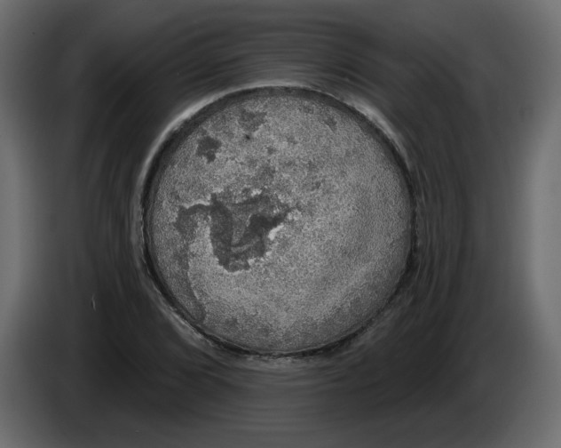 X0000084541072200703231709