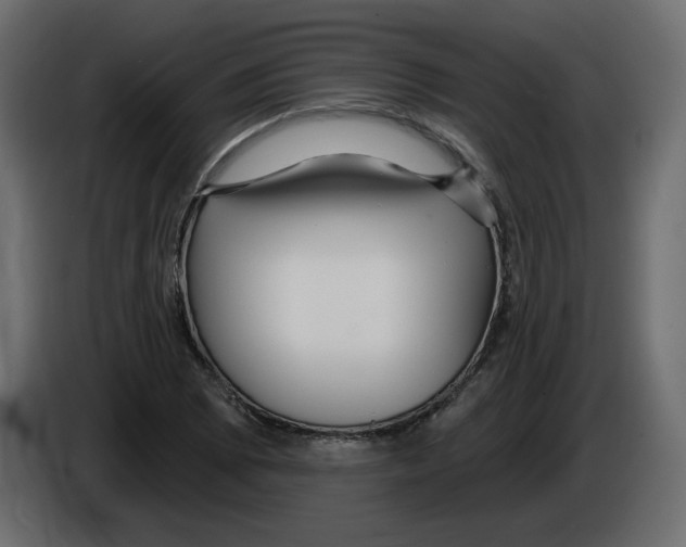 X0000084541073200703231709