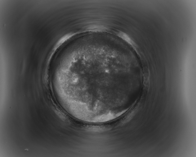 X0000084541074200703231709