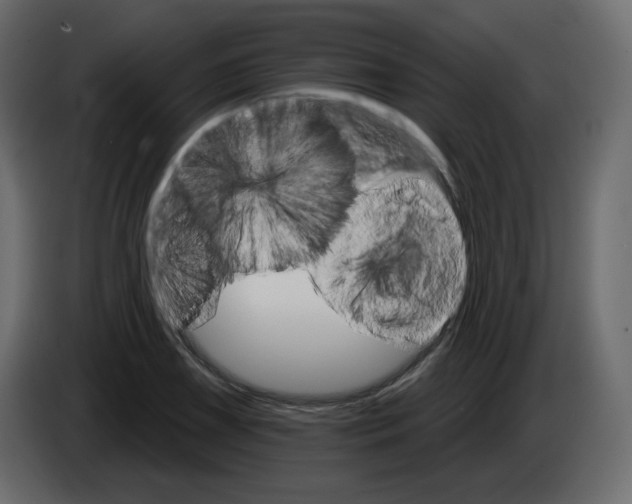 X0000084541075200703231709