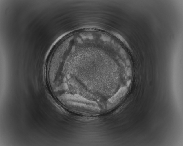 X0000084541076200703231709