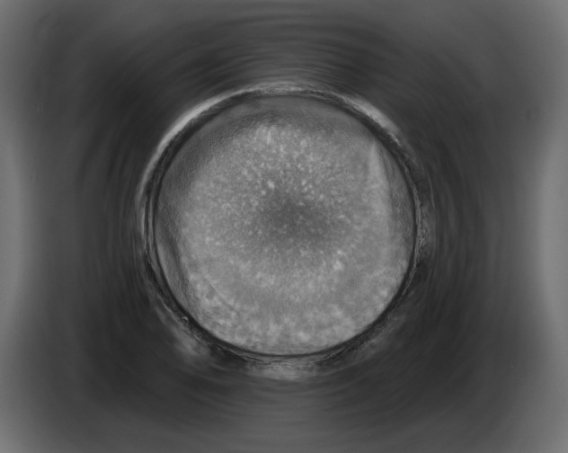 X0000084541078200703231709