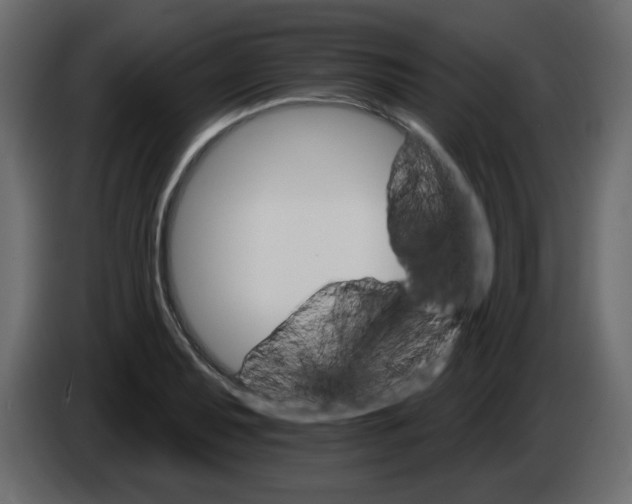 X0000084541079200703231709