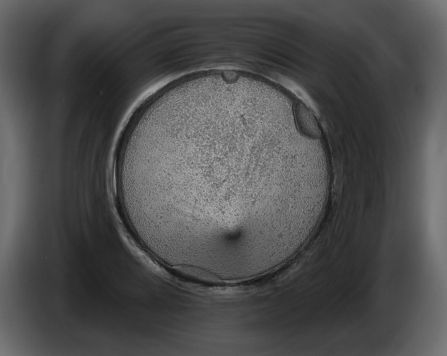 X0000084541080200703231709