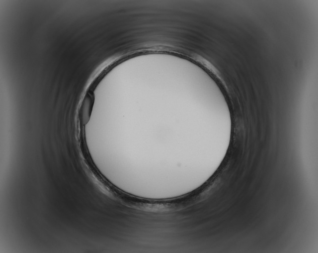 X0000084541082200703231709