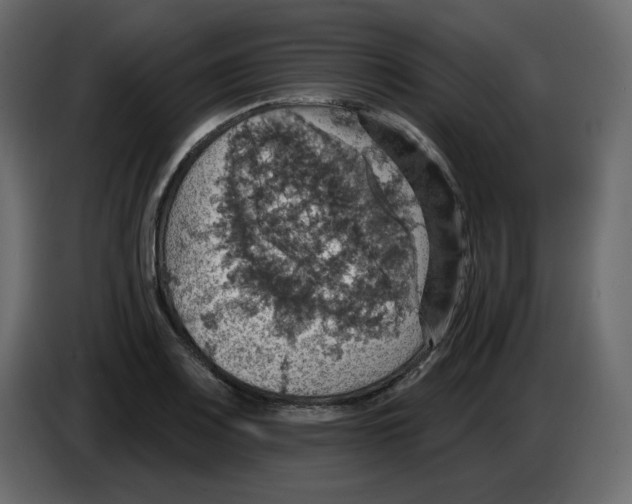 X0000084541083200703231709