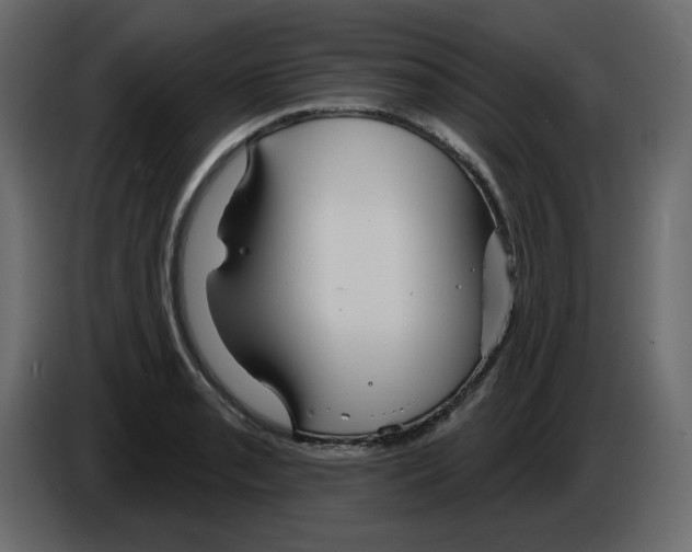 X0000084541085200703231709