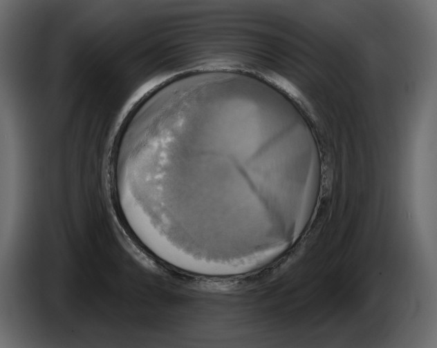 X0000084541086200703231709