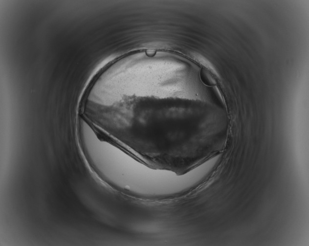 X0000084541087200703231709