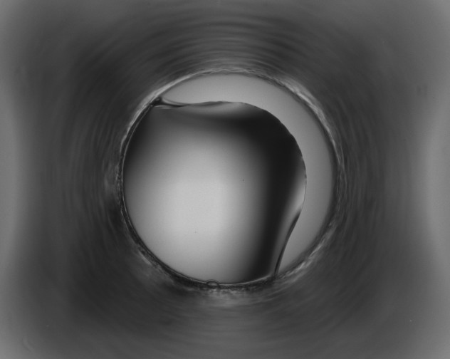 X0000084541089200703231709