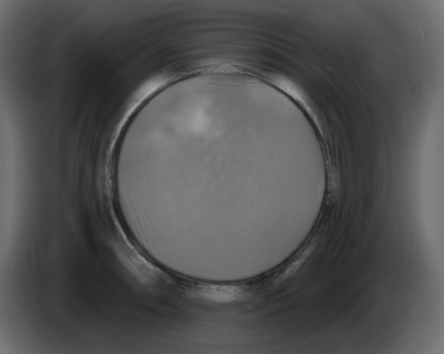 X0000084541090200703231709