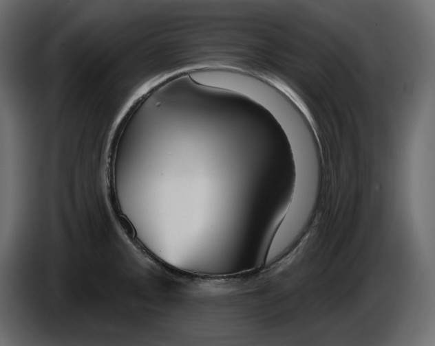 X0000084541093200703231709