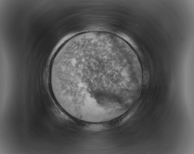 X0000084541094200703231709